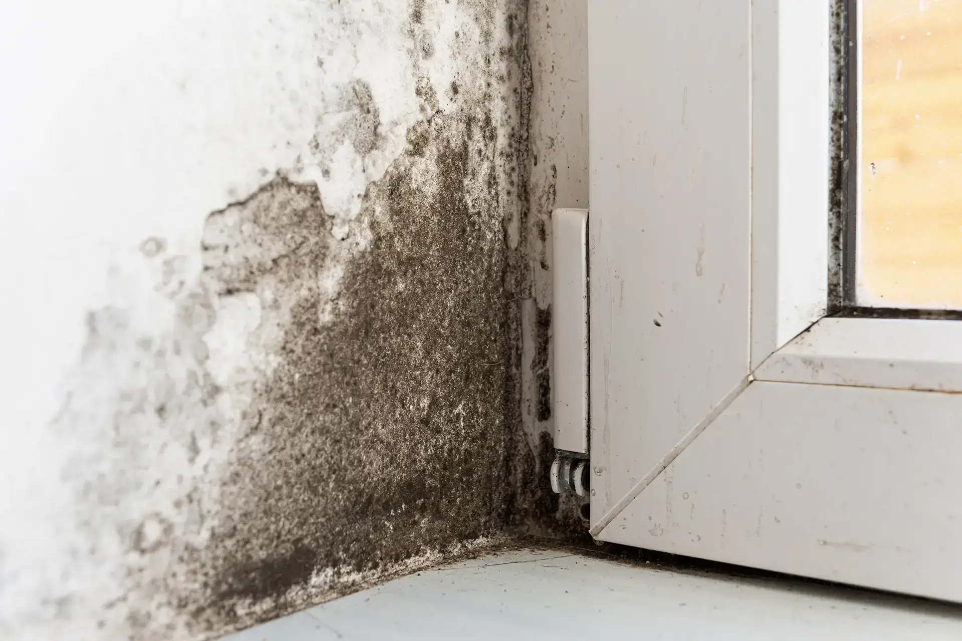 Restoring Your Property With Care And Precision — Boise, ID