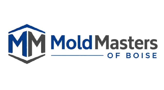 MoldMasters of Boise